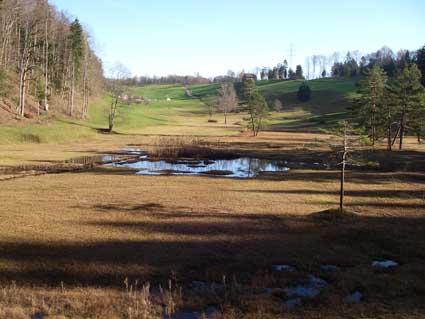 Moorlandschaft, jpg 19 kb